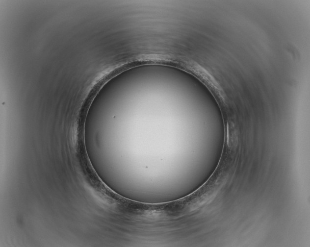 X0000111180204200907081242