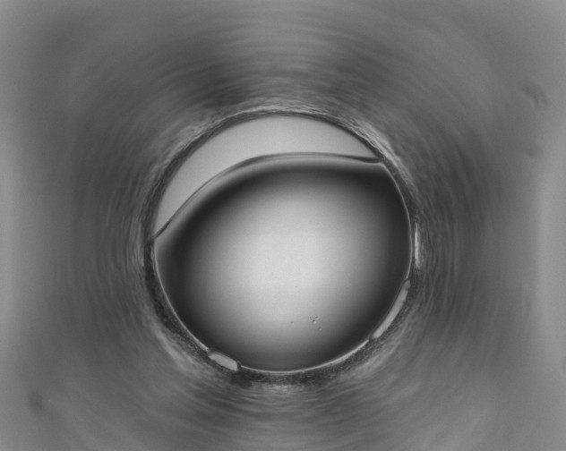 X0000111180205200907081242