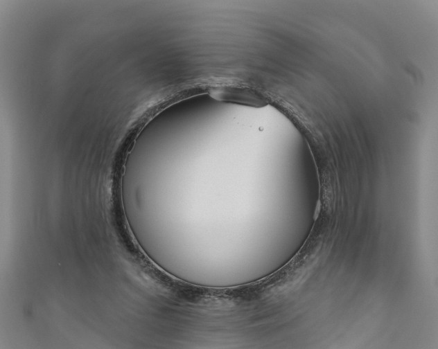 X0000111180207200907081242