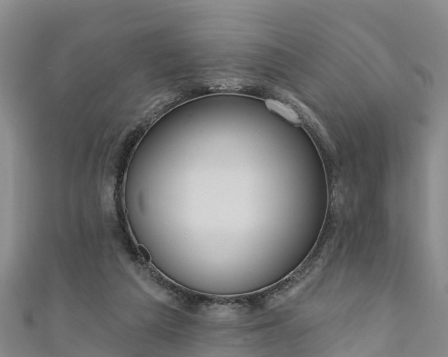 X0000111180209200907081242