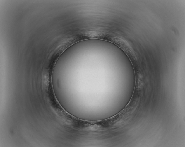 X0000111180210200907081242