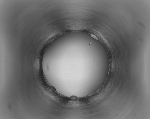 X0000111180211200907081242