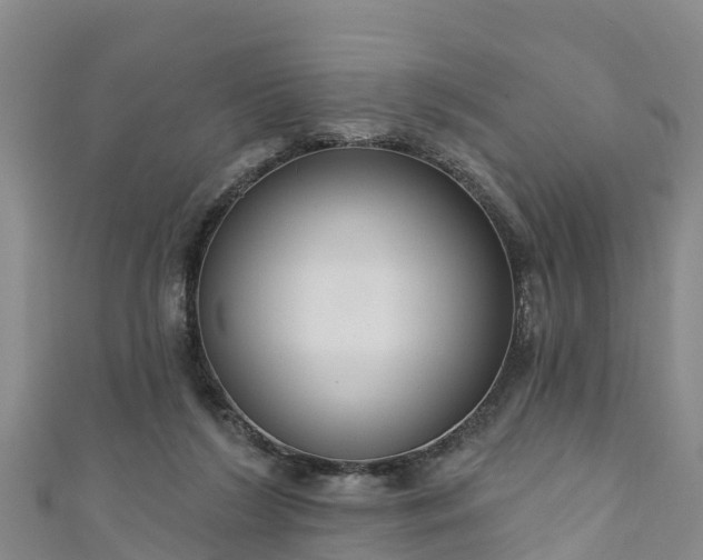 X0000111180212200907081242