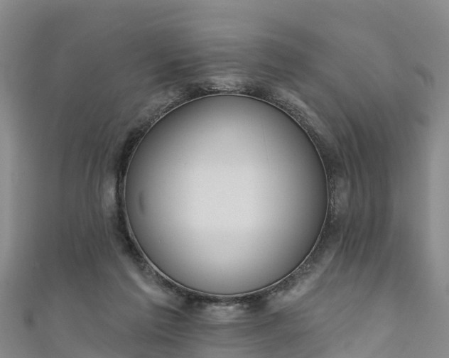 X0000111180213200907081242