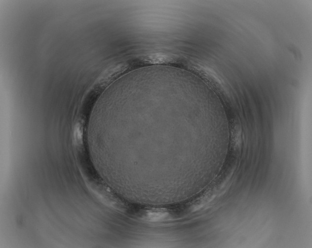 X0000111180214200907081242