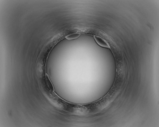 X0000111180215200907081242