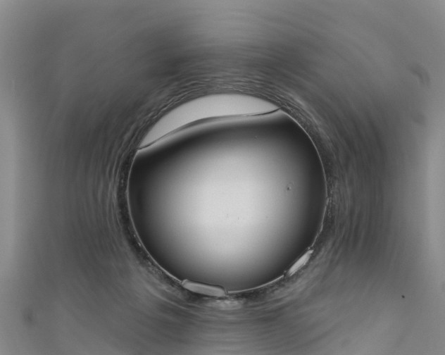 X0000111180217200907081242