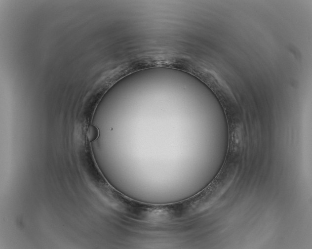 X0000111180218200907081242