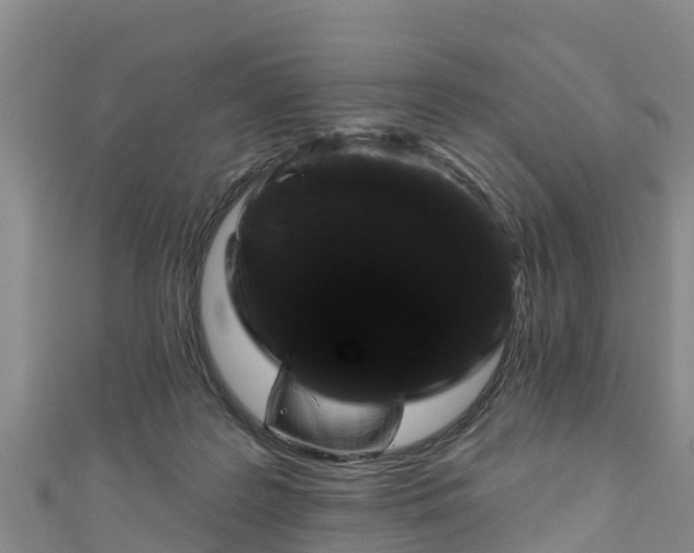 X0000111180219200907081242