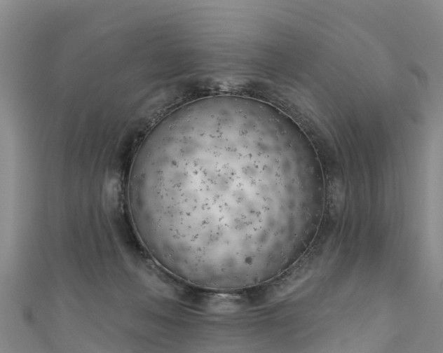 X0000111180222200907081242