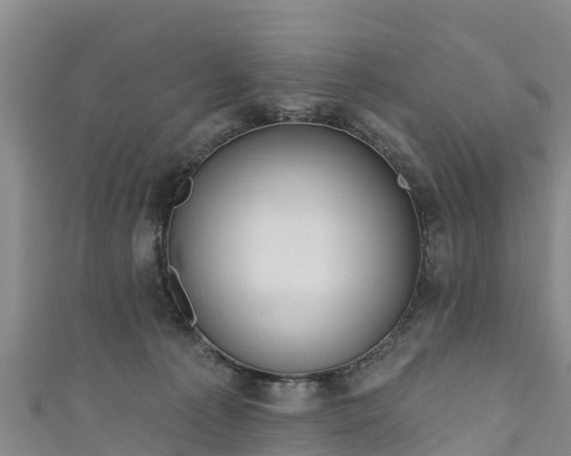 X0000111180225200907081242