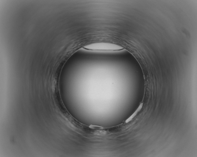 X0000111180227200907081242