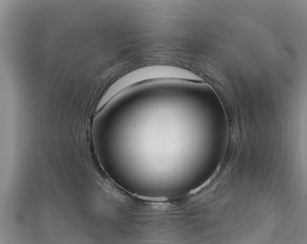 X0000111180233200907081242