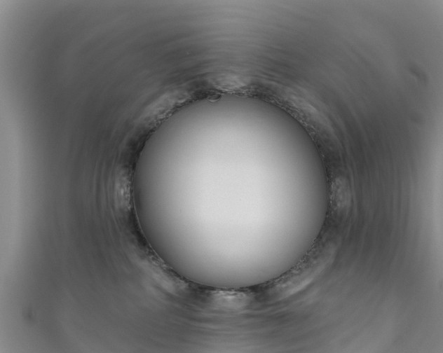 X0000111180234200907081242