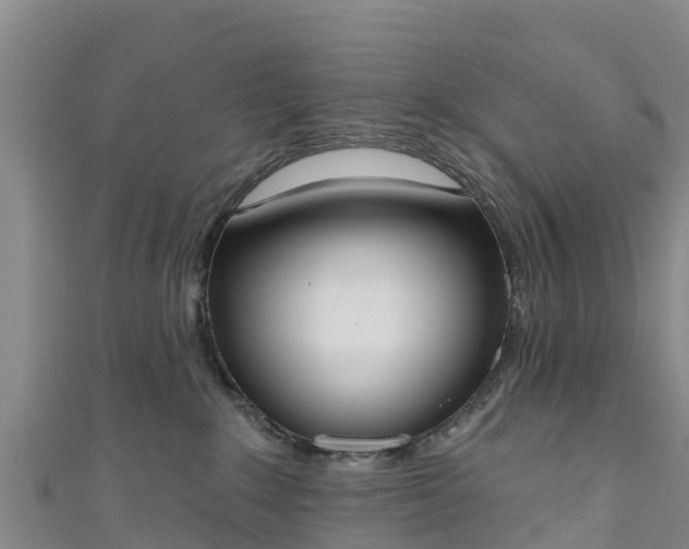 X0000111180235200907081241