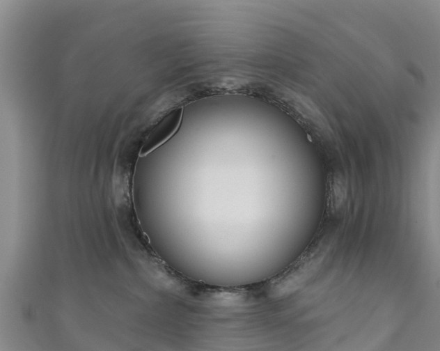 X0000111180236200907081241