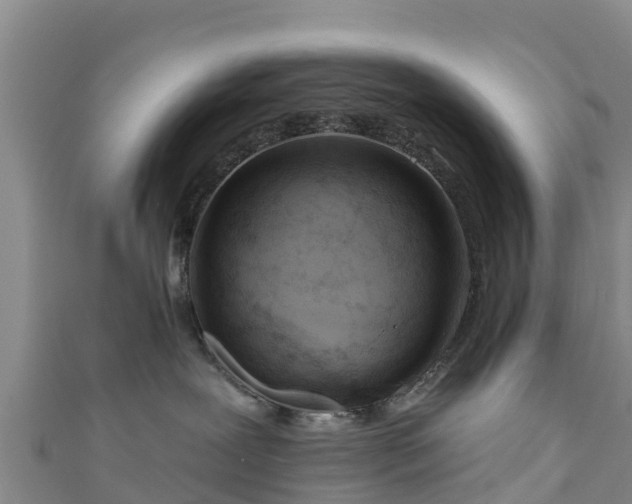 X0000111180239200907081241