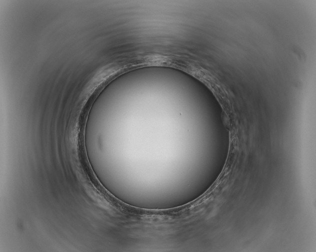 X0000111180242200907081241