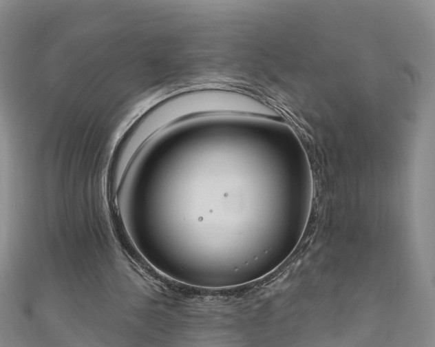 X0000111180244200907081241