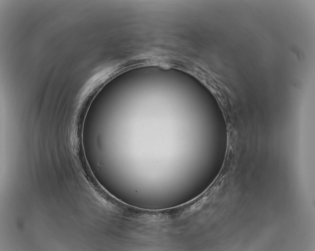 X0000111180245200907081241