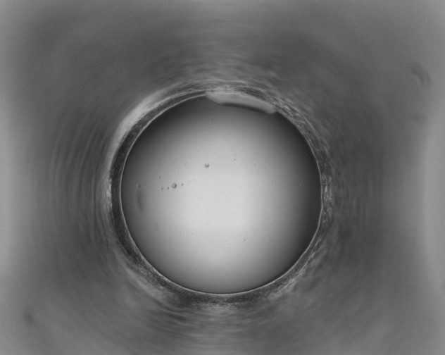 X0000111180246200907081241