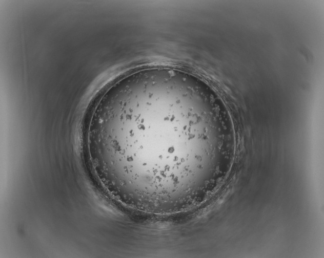 X0000111180247200907081241