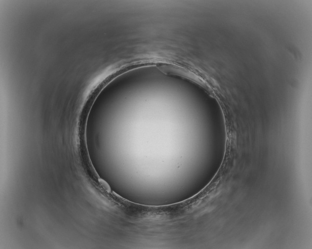 X0000111180248200907081241