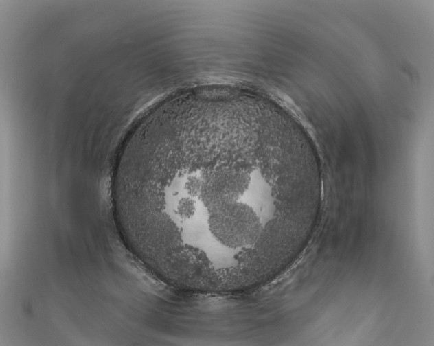 X0000111180249200907081241