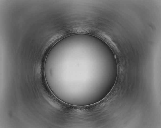 X0000111180250200907081241