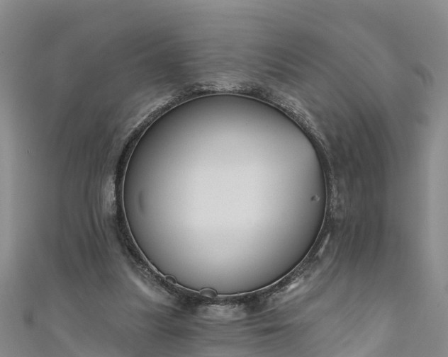 X0000111180251200907081241