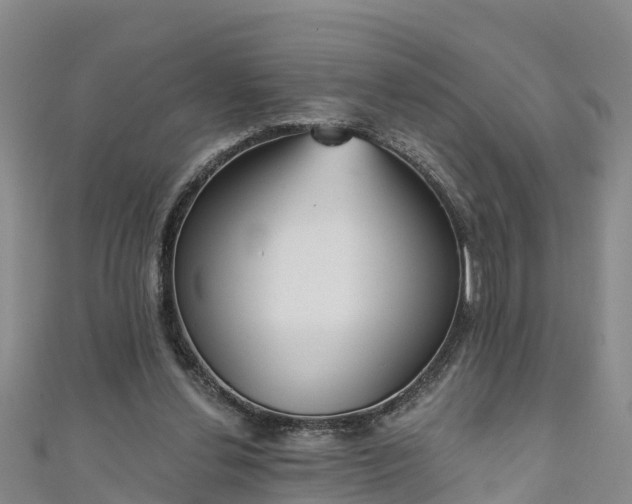 X0000111180252200907081241