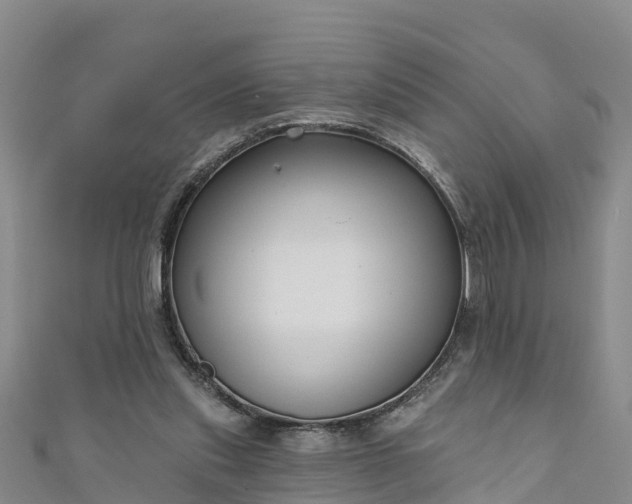 X0000111180253200907081241