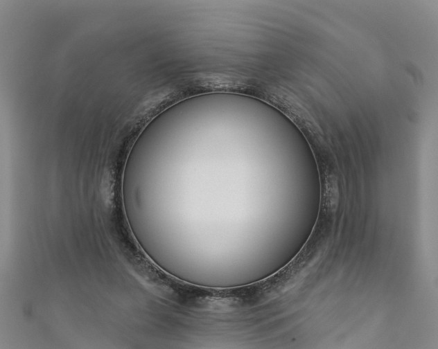 X0000111180255200907081241