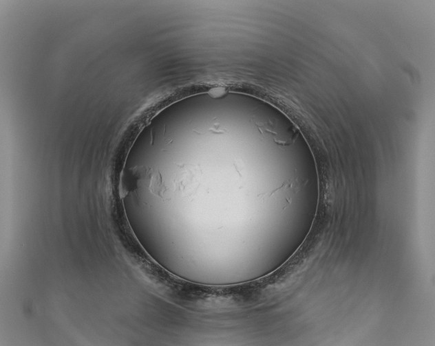 X0000111180256200907081241