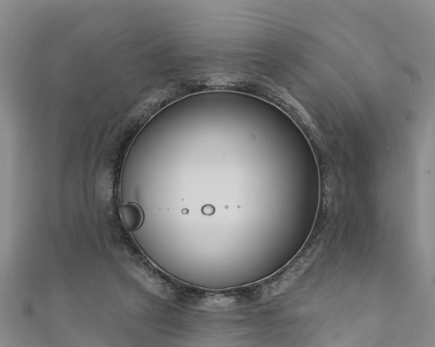 X0000111180257200907081241