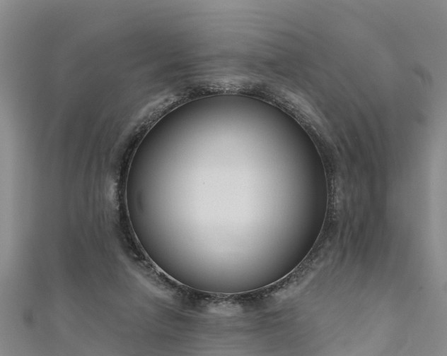 X0000111180258200907081241