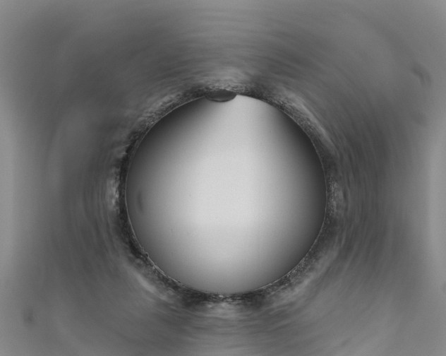 X0000111180259200907081241