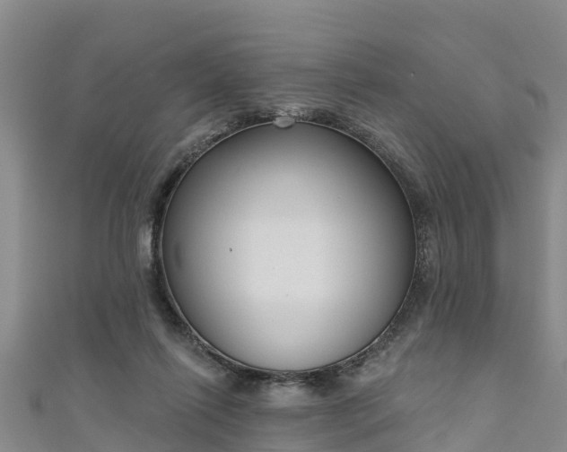 X0000111180262200907081241