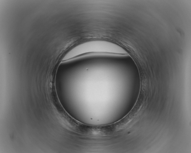 X0000111180264200907081241