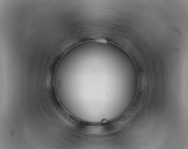 X0000111180266200907081241