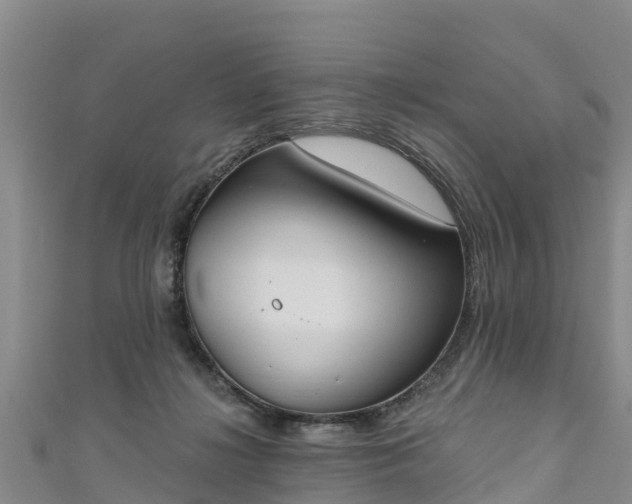 X0000111180268200907081241