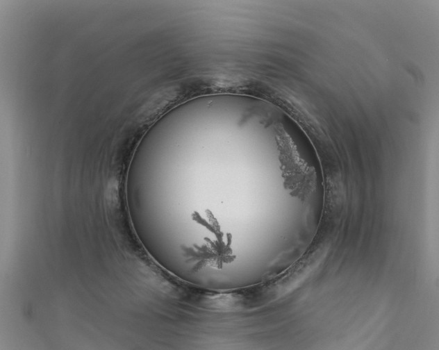 X0000111180269200907081241