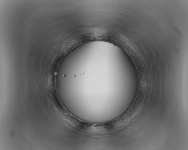 X0000111180270200907081241