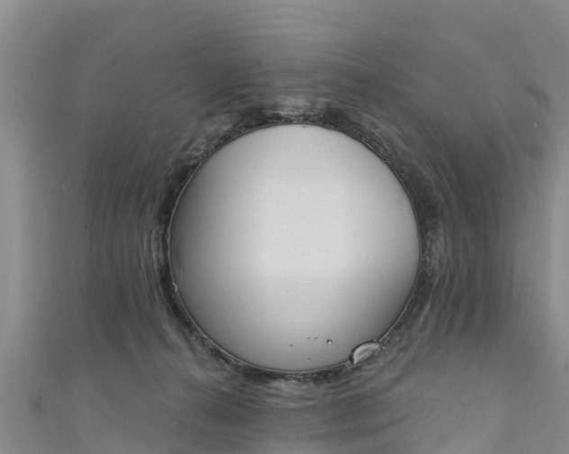 X0000111180272200907081241