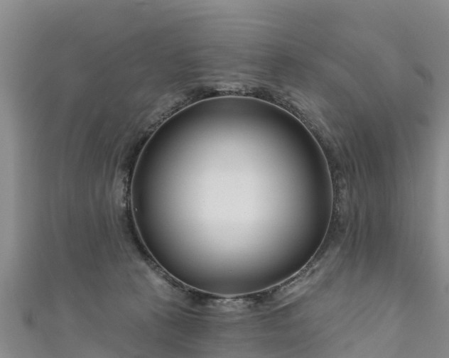 X0000111180273200907081241