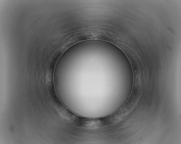 X0000111180274200907081241