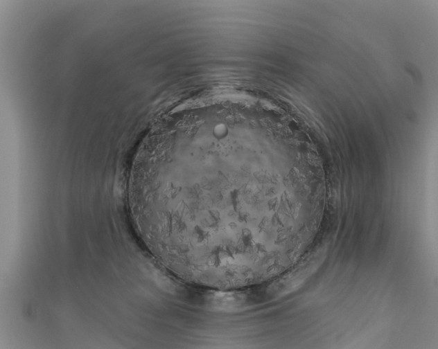 X0000111180277200907081241