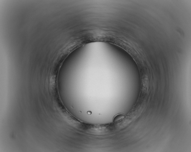 X0000111180278200907081241