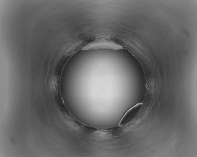 X0000111180280200907081241