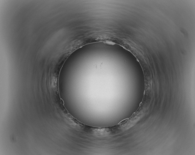 X0000111180281200907081241